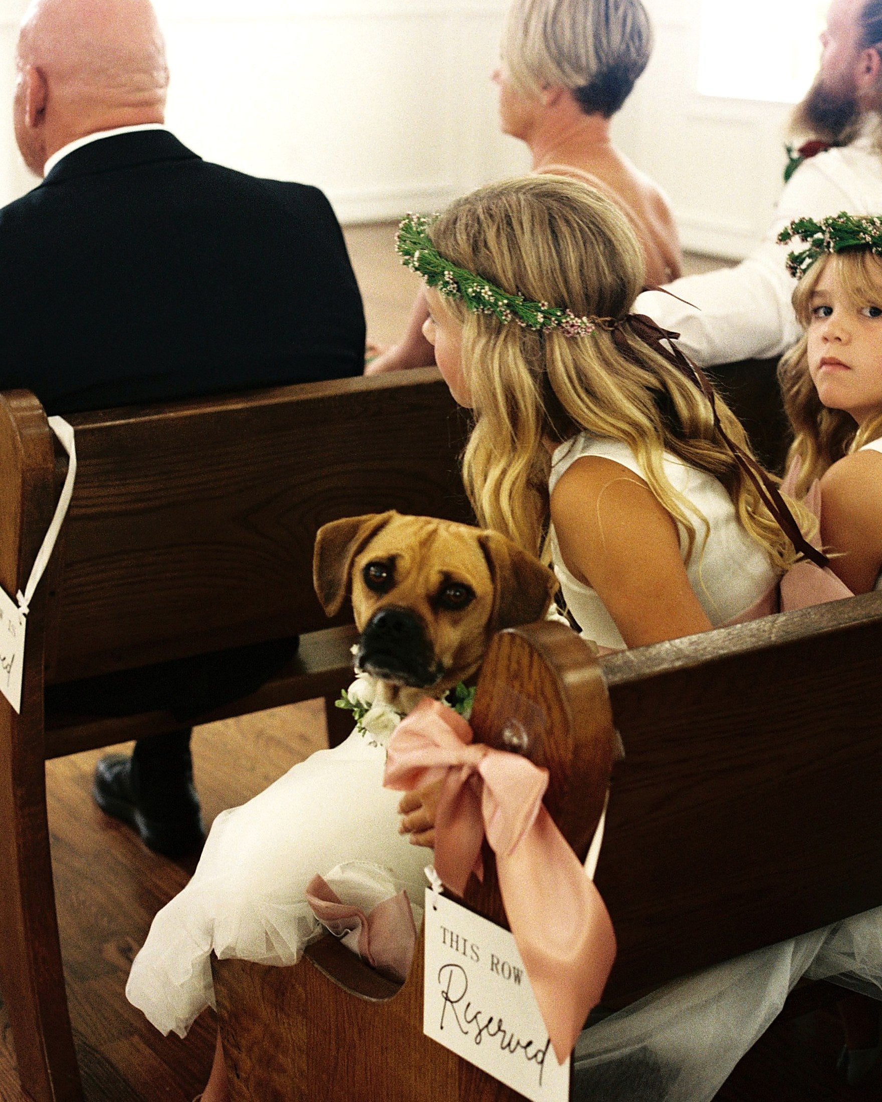 Mauve and Pink Floral Blocking Study — Parker Manor